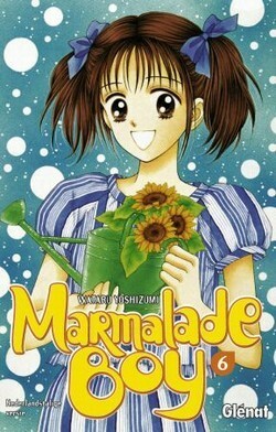 Marmalade Boy, Deel 6 by Wataru Yoshizumi