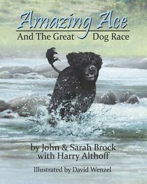 Amazing Ace by Sarah Brock, John Brock, Harry Althoff