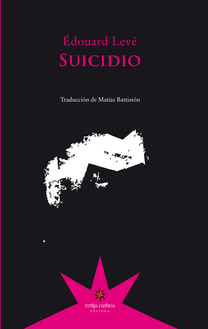 Suicidio by Édouard Levé