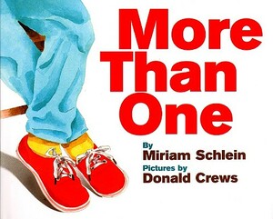 More Than One by Miriam Schlein