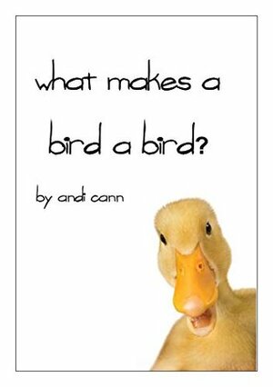 What Makes a Bird a Bird? by Andi Cann