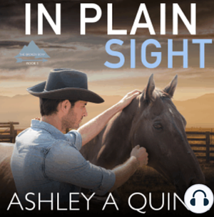 In Plain Sight by Ashley A Quinn