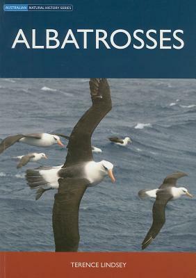 Albatrosses by Terence Lindsey