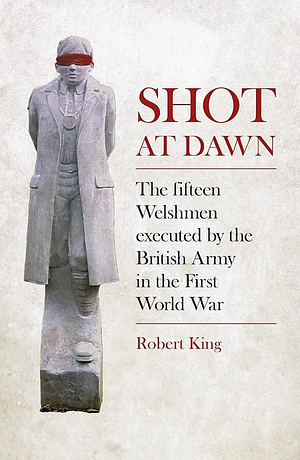 Shot at Dawn: The Fifteen Welshmen Executed by the British Army in the First World War by Robert King