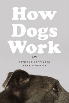 How Dogs Work by Mark Feinstein, Raymond Coppinger