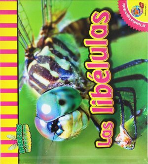 Las Libélulas / Dragonflies by Aaron Carr