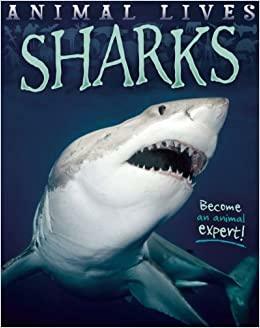 Sharks by Sally Morgan