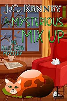 A Mysterious Mix Up by J.C. Kenney