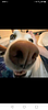 c0nfused's profile picture
