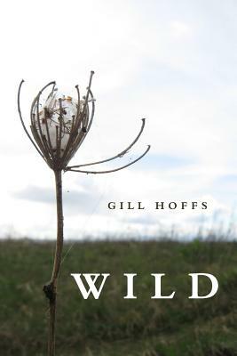 Wild: a collection by Gill Hoffs