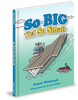 So Big Yet So Small by Peter Weiland