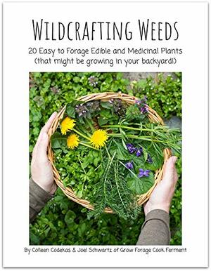 Wildcrafting Weeds: 20 Easy to Forage Edible and Medicinal Plants by Colleen Codekas, Joel Schwartz