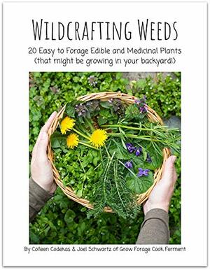 Wildcrafting Weeds: 20 Easy to Forage Edible and Medicinal Plants by Joel Schwartz, Colleen Codekas