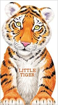 Little Tiger by Giovanni Caviezel