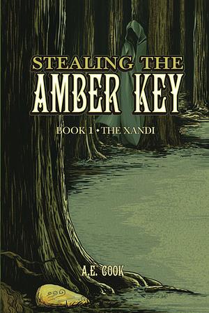 Stealing the Amber Key by Elizabeth Cook