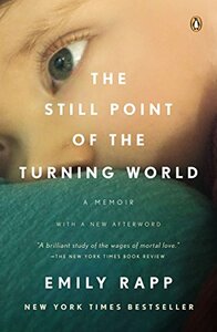 The Still Point of the Turning World by Emily Rapp