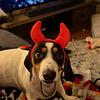 jordantipp's profile picture