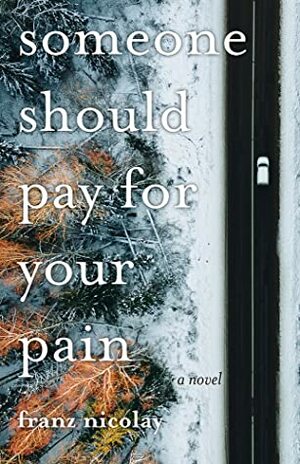 Someone Should Pay for Your Pain by Franz Nicolay