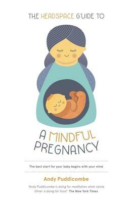 The Headspace Guide To...a Mindful Pregnancy by Andy Puddicombe