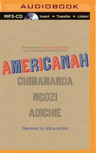 Americanah by Chimamanda Ngozi Adichie