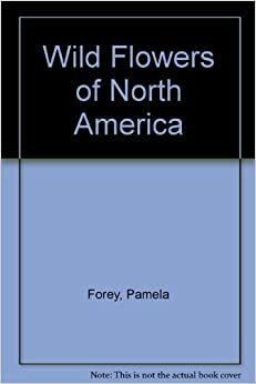 Wild Flowers Of North America by Pamela Forney, Pamela Forey