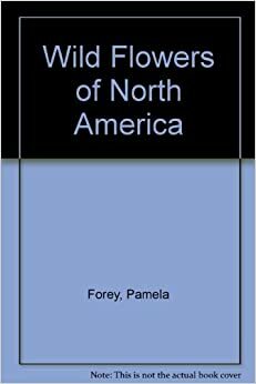 Wild Flowers Of North America by Pamela Forey, Pamela Forney