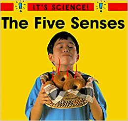 The Five Senses by Sally Hewitt