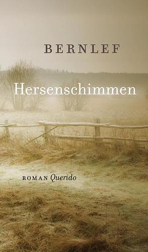 Hersenschimmen by J. Bernlef