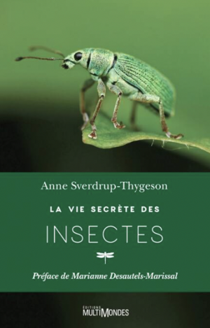 La vie secrète des insectes by Anne Sverdrup-Thygeson