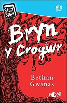 Bryn y Crogwr by Bethan Gwanas
