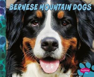 Bernese Mountain Dogs by Allan Morey