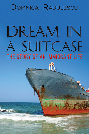 Dream in a Suitcase by Domnica Radulescu