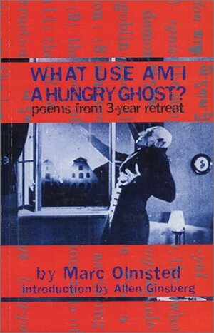 What Use Am I a Hungry Ghost? Poems from 3-year Retreat by Marc Olmsted