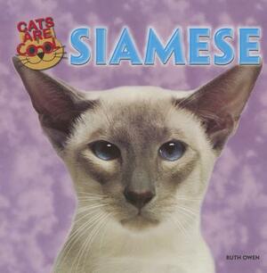 Siamese by Ruth Owen