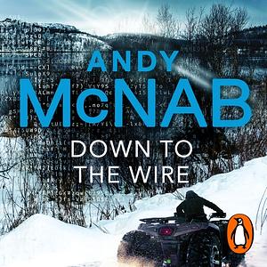 Down to the Wire by Andy McNab