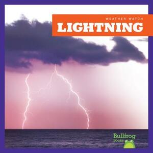 Lightning by Jennifer Fretland VanVoorst