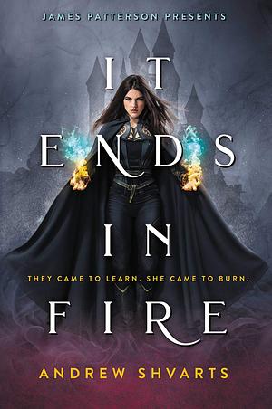 It Ends in Fire by Andrew Shvarts