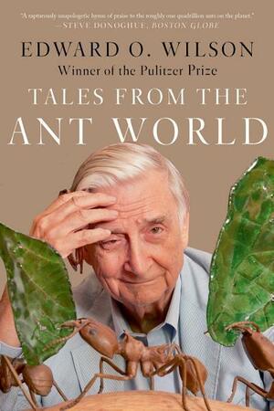 Tales from the Ant World by Edward O. Wilson