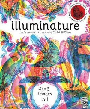 Illuminature: a search and find extravaganza that illuminates nature night and day with a magical viewing lens by Carnovsky, Rachel Williams