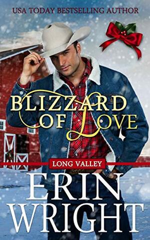 Blizzard of Love by Erin Wright