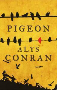 Pigeon by Alys Conran