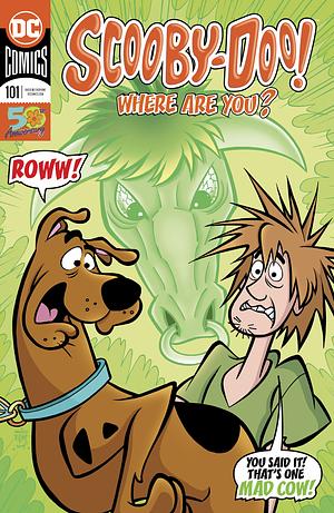 Scooby-Doo, Where Are You? (2010-) #101 by Sholly Fisch, Robbie Busch, John Rozum