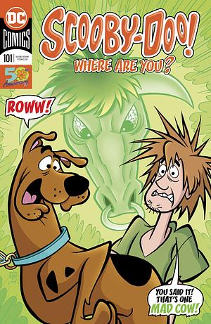 Scooby-Doo, Where Are You? (2010-) #101 by Robbie Busch, John Rozum, Sholly Fisch