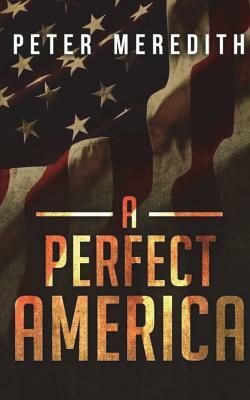 A Perfect America by Peter Meredith