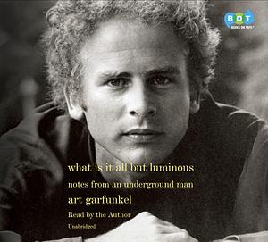 What Is It All But Luminous: Notes From An Underground Man by Art Garfunkel