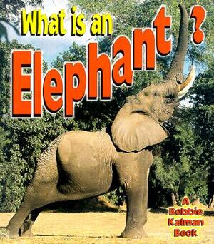 What is an Elephant? by John Crossingham