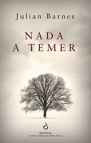 Nada a Temer by Julian Barnes