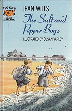 The Salt And Pepper Boys by Jean Wills