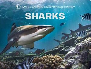 Sharks by American Museum of Natural History