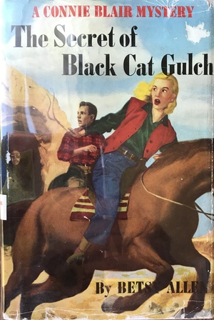 The Secret of Black Cat Gulch by Betsy Allen